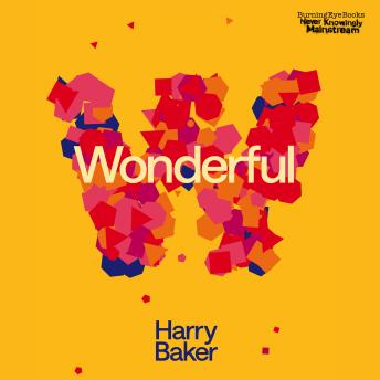Wonderful: Sunday Times bestselling author