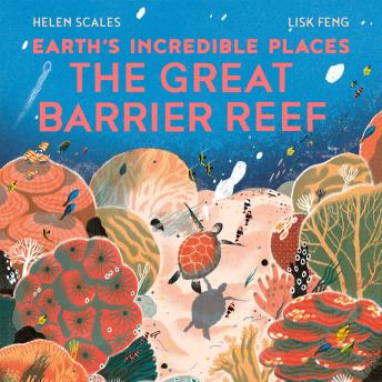 The Great Barrier Reef