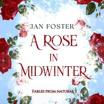 A Rose In Midwinter: A short Romantic Historical Fantasy Adventure set in 1456