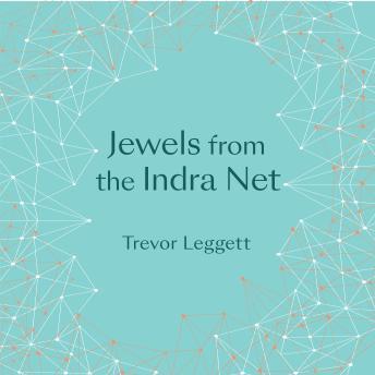 Jewels From The Indra Net