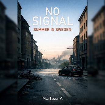 No Signal: Summer in Sweden