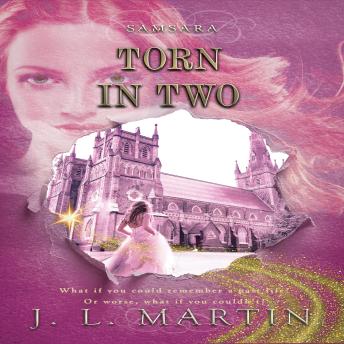 Torn In Two: Volume One Book Three