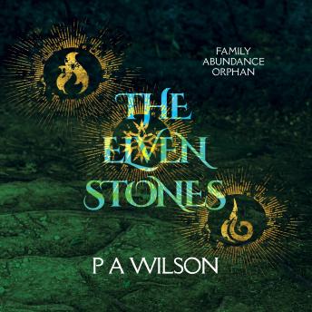 The Elven Stones: Box Set