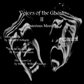 Voices of the Ghost II: Mysterious Meetings