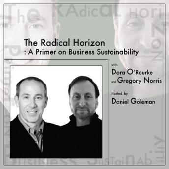 The Radical Horizon: A Primer on Business Sustainability