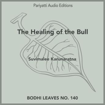 The Healing of the Bull: A Story