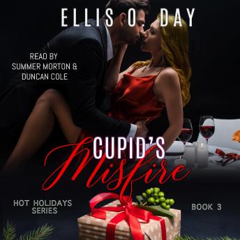 Download Cupid's Misfire: A steamy, holiday romantic comedy by Ellis O. Day
