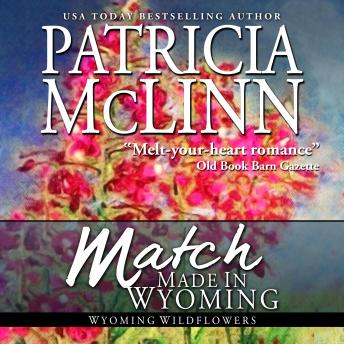 Match Made in Wyoming, Patricia Mclinn