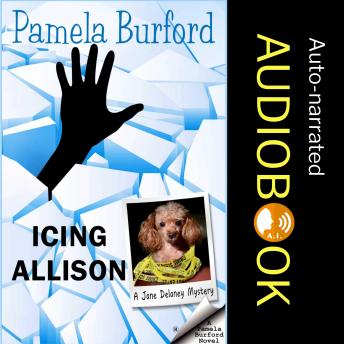 Download Icing Allison by Pamela Burford