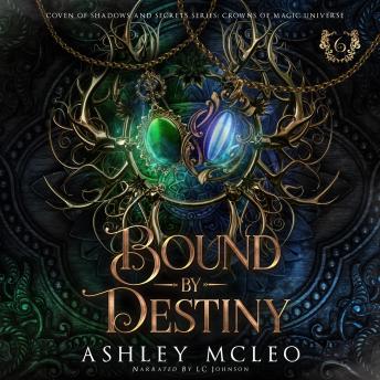 Bound by Destiny: A Dark Artifact Hunter Series