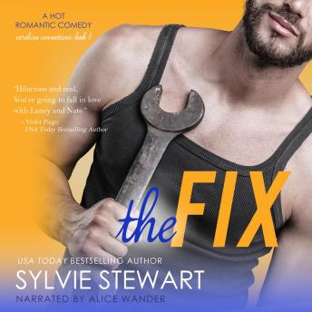 The Fix: A Hot Romantic Comedy