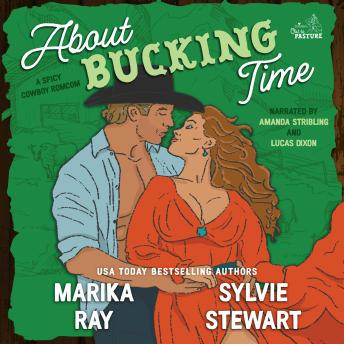 About Bucking Time: A Spicy Cowboy RomCom