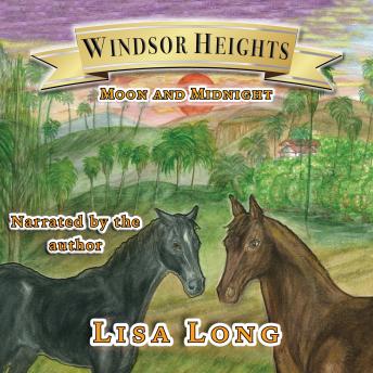 Windsor Heights Book 3:  Moon and Midnight