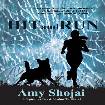 Hit And Run: A September Day & Shadow Thriller #5