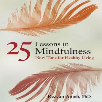 Twenty-Five Lessons in Mindfulness: Now Time for Healthy Living
