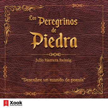 Los Peregrinos de Piedra: Descubre un mundo de poesía sample.