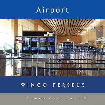 Download Airport by Wingo Perseus