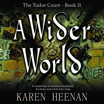 Download Wider World by Karen Heenan