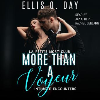 More Than A Voyeur: Romantic comedy with lots of kink
