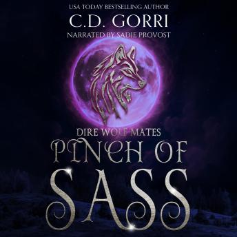 Pinch of Sass: An Urban Fantasy Paranormal Romance