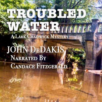Troubled Water: Lark Chadwick Mystery