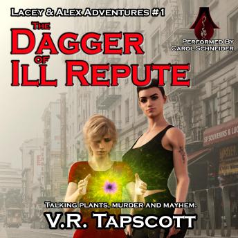 Download Dagger of Ill Repute: A Fantasy Adventure with a bit of romance by V.R. Tapscott