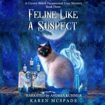 Feline Like a Suspect: A Crystal Beach Paranormal Cozy Mystery Series - Book 3