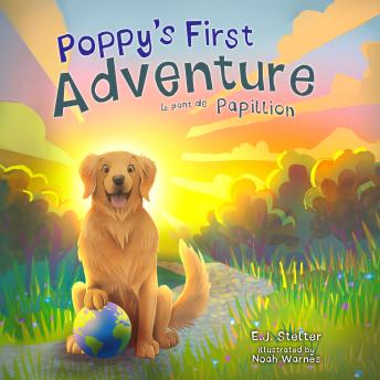 Poppy's First Adventure: Le Pont de Papillion : E. J. Stelter episode artwork