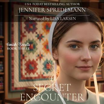 A Secret Encounter (Amish Secrets #3): Amish Romance