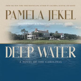 Deepwater: A Novel of the Carolinas
