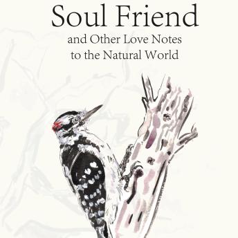 Soul Friend: and Other Love Notes to the Natural World