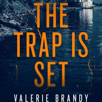 The Trap is Set: Book Three, The Predator / Prey Thriller Series