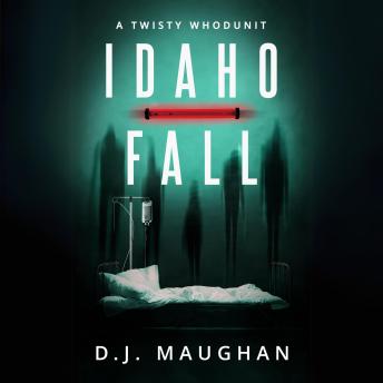 Idaho Fall: A twisty whodunit