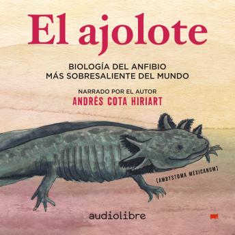 El ajolote: Biología del anfibio más sobresaliente del mundo