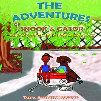 The Adventures of Snook and Gator: Snook’S Cool Idea for a Hot Day