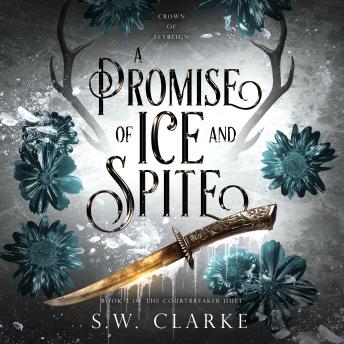 A Promise of Ice and Spite: A Dark Fantasy Romance