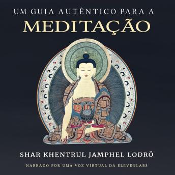 [Portuguese] - Um Guia Autêntico para a Meditação
