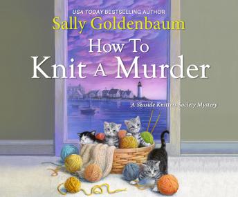 How to Knit a Murder, Audio book by Sally Goldenbaum
