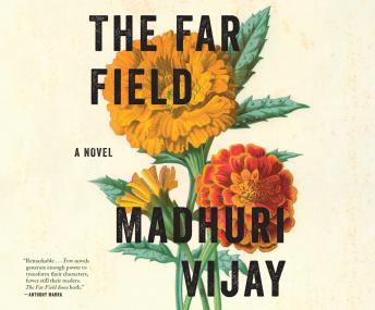 Far Field: A Novel details