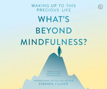 What's Beyond Mindfulness?: Waking Up to this Precious Life, Audio book by Stephen Fulder