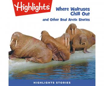 Download Best Audiobooks Non Fiction Where Walruses Chill Out and Other Real Arctic Stories by Highlights For Children Audiobook Free Mp3 Download Non Fiction free audiobooks and podcast
