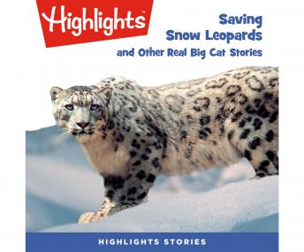Saving Snow Leopards and Other Real Big Cat  Stories