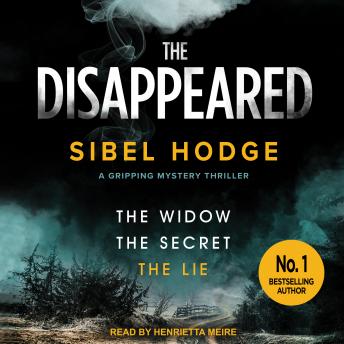 The Disappeared by Sibel Hodge audiobook