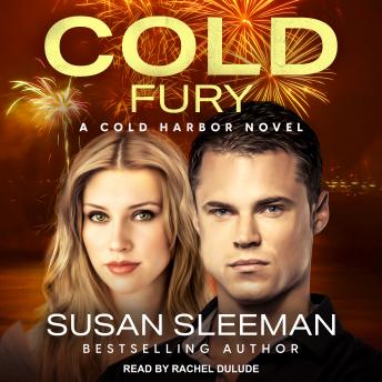 Cold Fury, Audio book by Susan Sleeman