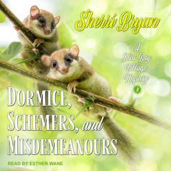 Dormice, Schemers, and Misdemeanours: A Bliss Bay Cozy Mystery