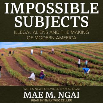 Download Impossible Subjects: Illegal Aliens and the Making of Modern America by Mae M. Ngai