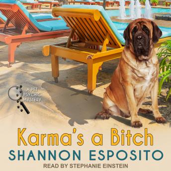 Karma's A Bitch by Shannon Esposito audiobook