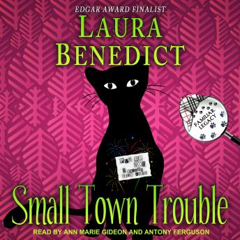 Download Small Town Trouble by Laura Benedict