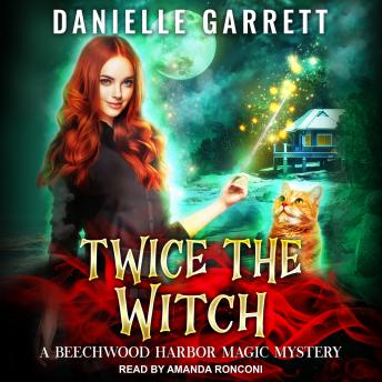 Download Twice the Witch by Danielle Garrett