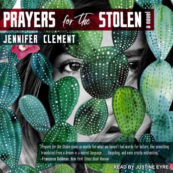 Prayers for the Stolen: A Novel